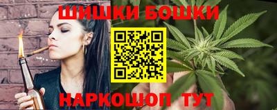 индика Усть-Джегута
