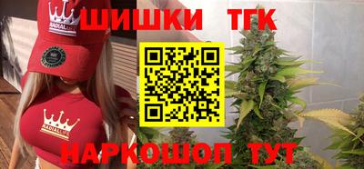 индика Усть-Джегута