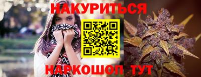 индика Усть-Джегута