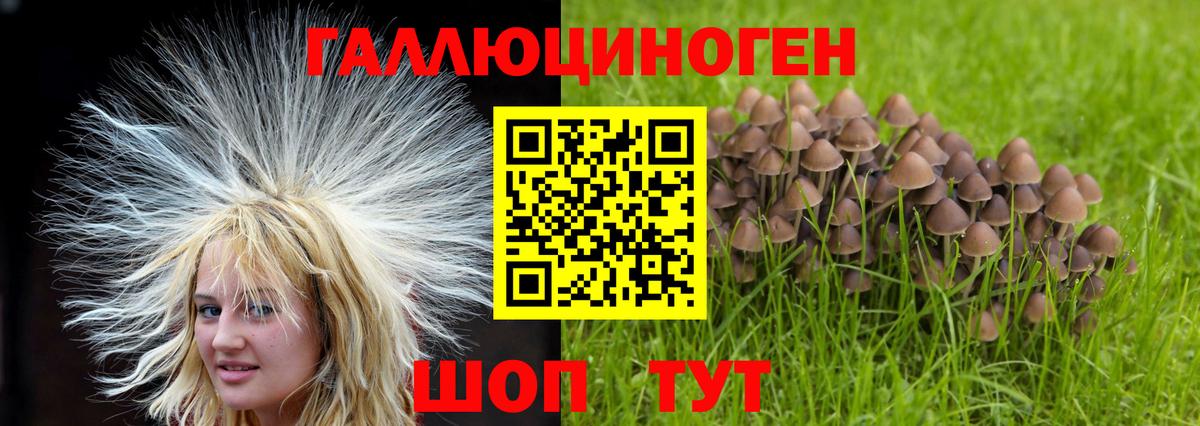 где можно купить наркотик  Вход с VPN  Комсомольск-на-Амуре  Псилоцибиновые грибы ЛСД  Псилоцибиновые грибы мухоморы 